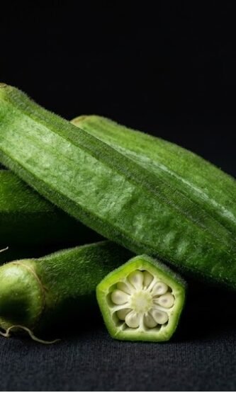 The Nature Fix