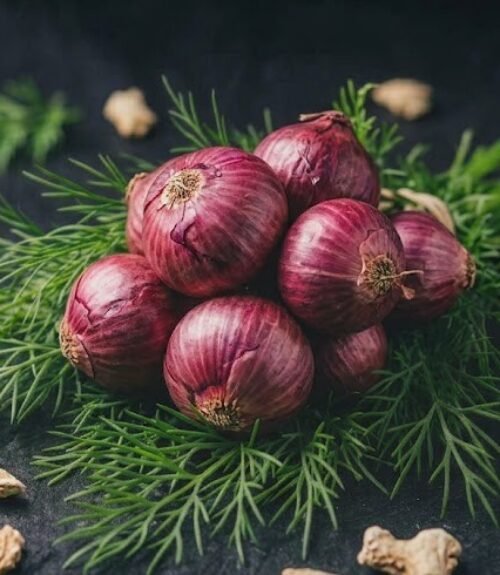 The Nature Fix