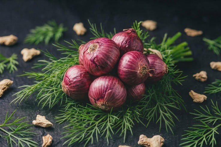 Onion